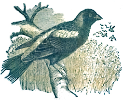 image024