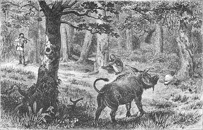 Der Autor schießt im   Wald auf einen Eber