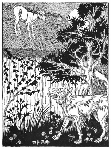 Kid and wolf