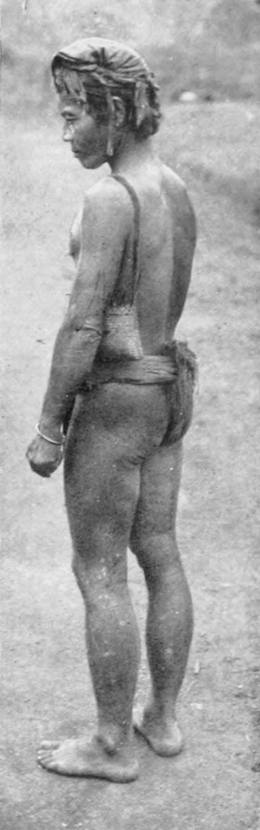 Träger, von schräg hinten   gesehen