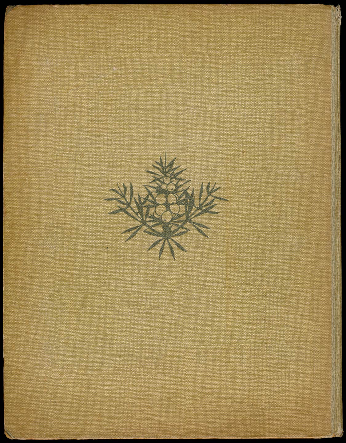 Oorspronkelijke achterkant.