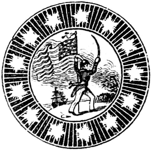 Ornamental picture of soldier with American flag