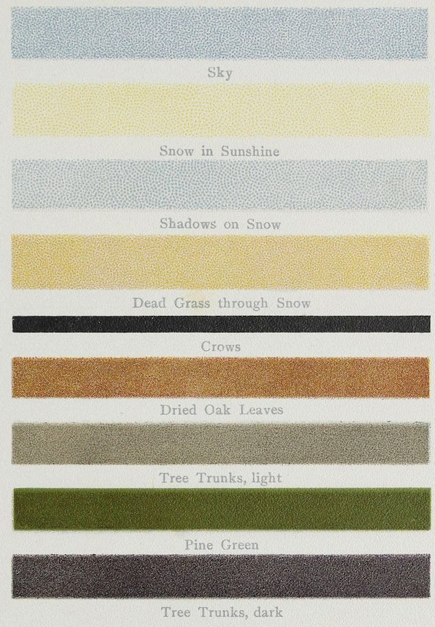 Sky Snow in Sunshine Shadows on Snow Dead Grass through Snow Crows Dried Oak Leaves Tree Trunks, light Pine Green Tree Trunks, dark