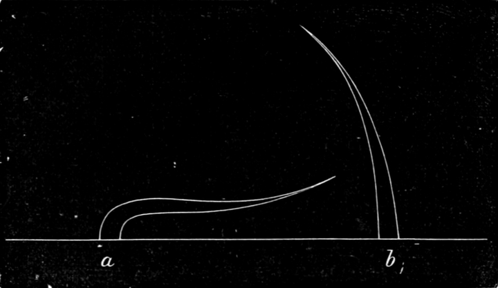 Schwimmplättchen, größere   Darstellung