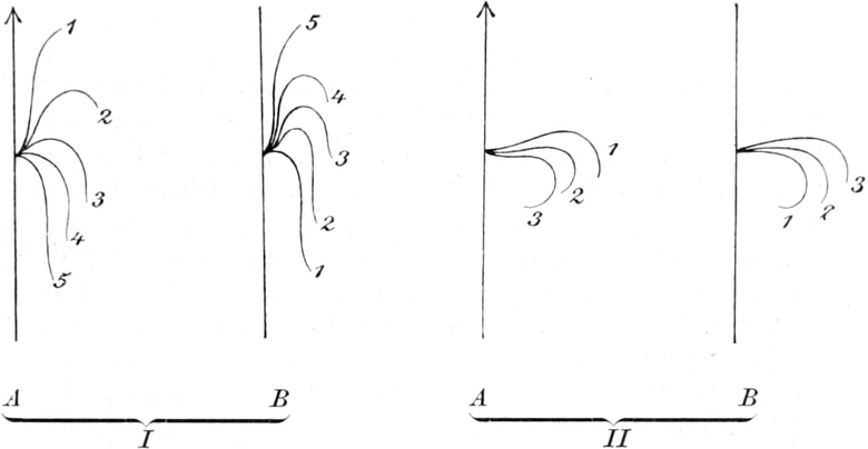 Einzelne Wimper in Bewegung