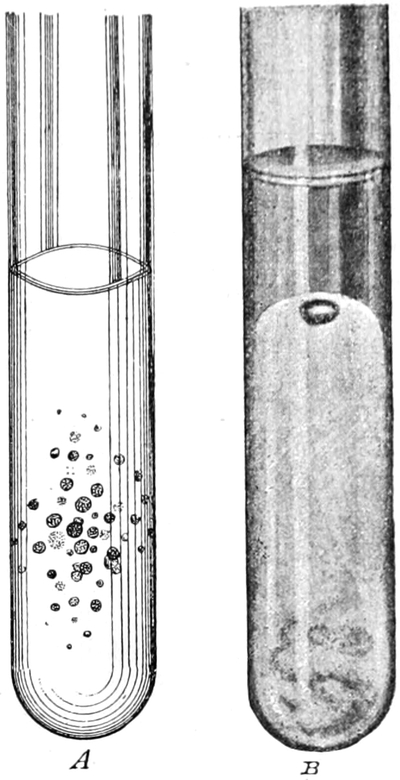 Einfluss des Sauerstoffs auf   Bakterienkulturen