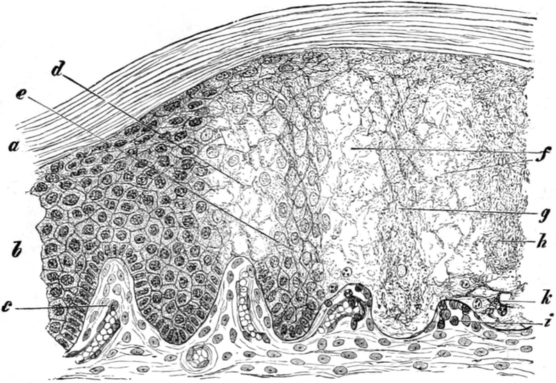 Rand einer Brandblase