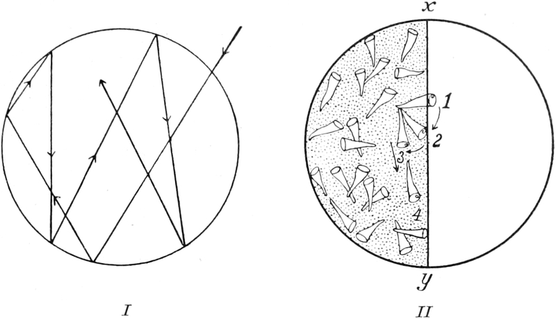 Schwimmbewegungen von   Pantoffeltierchen und Trompetentierchen