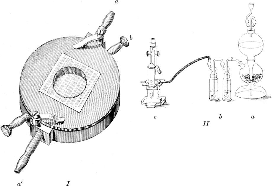 Funktion der Gaskammer nach   Engelmann