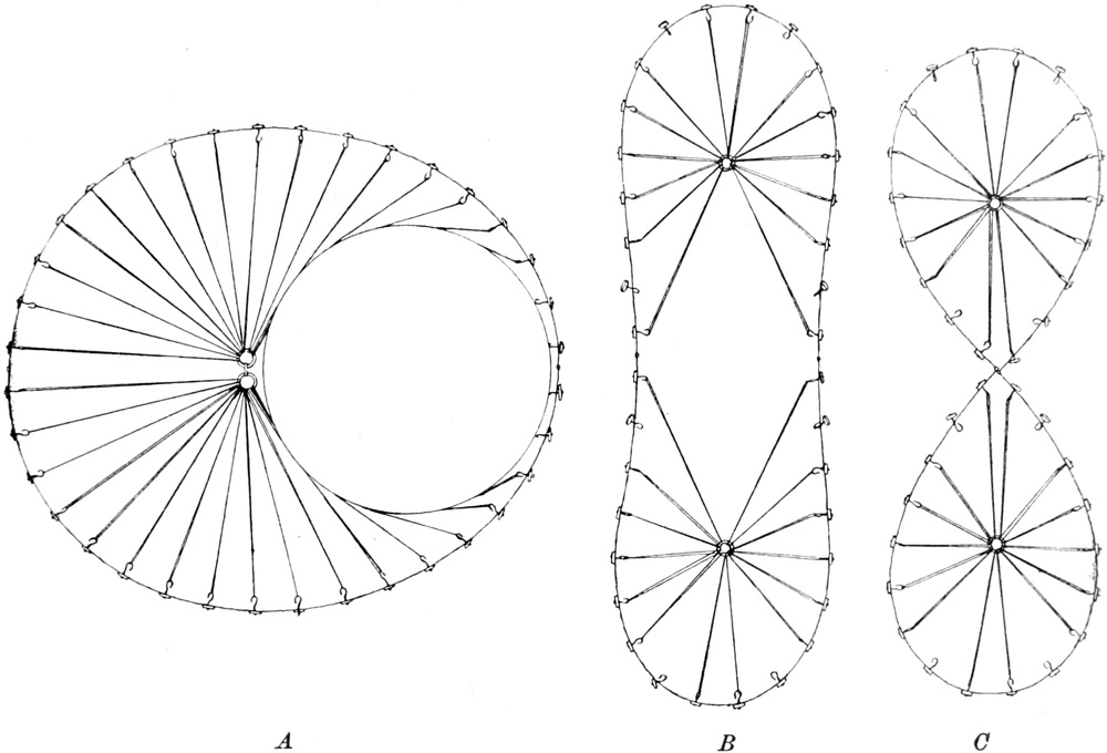 Zellteilung nach Heidenhain