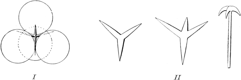 Verschiedene Kieselnadeln bei   Schwämmen