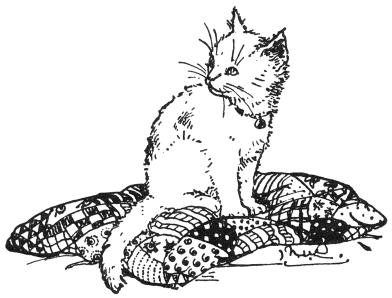 Een poesje met een grappig, lichtblauw halsbandje met een belletje er aan.