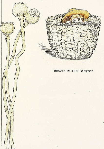 Child in a hat peeps over the top of a basket