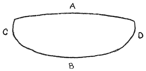 Fig. 5. Section of bow from North Sentinel Island