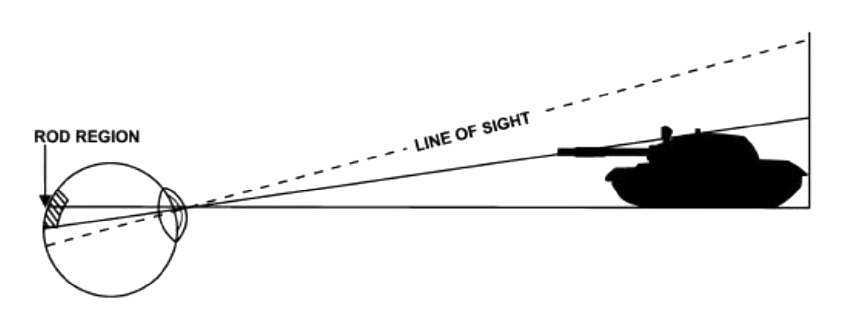 Sketch of an overhead cross-section of the human eye and the dotted line of sight above the object being viewed, projecting the image onto the rod region of the retina.