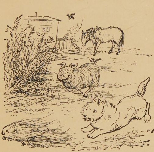 several animals at the encampment