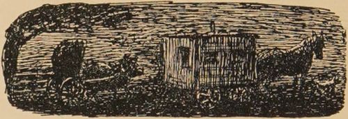 Tupenny slept in the cart