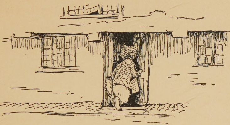 Sandy went shopping.