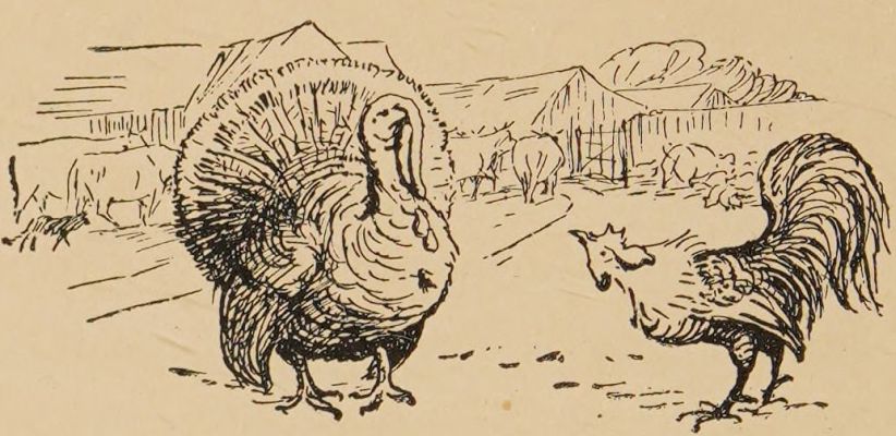 Charles and the turkey.