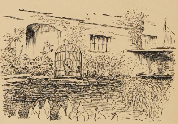 Hens all clucking together.