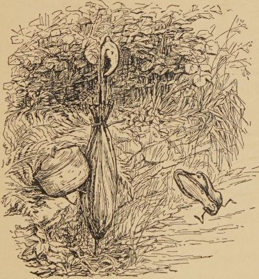 Joshy always took out his umbrella.