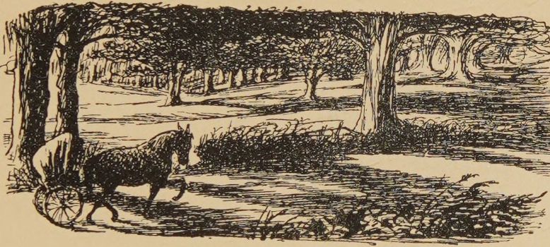 Pony Billy trotted away to fetch Mary Ellen.