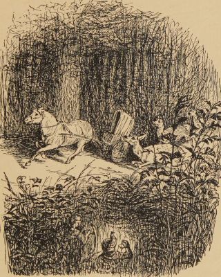 3 roe-deer cantered by.