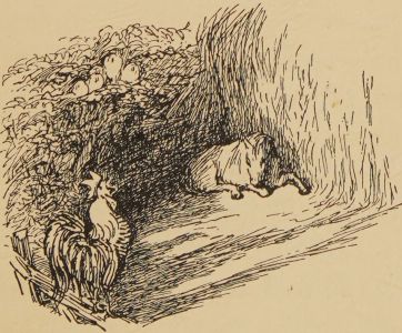 Paddy pig lay down and slept.