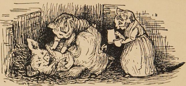 Mary Ellen drove Paddy pig wild.