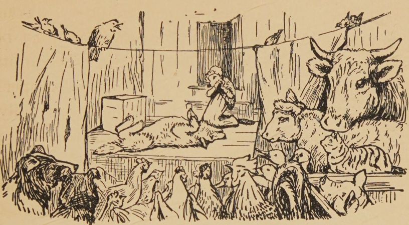 Paddy pig was poorly.