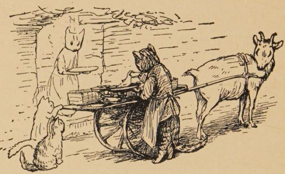 Mary Ellen prepared Paddy pig's food.