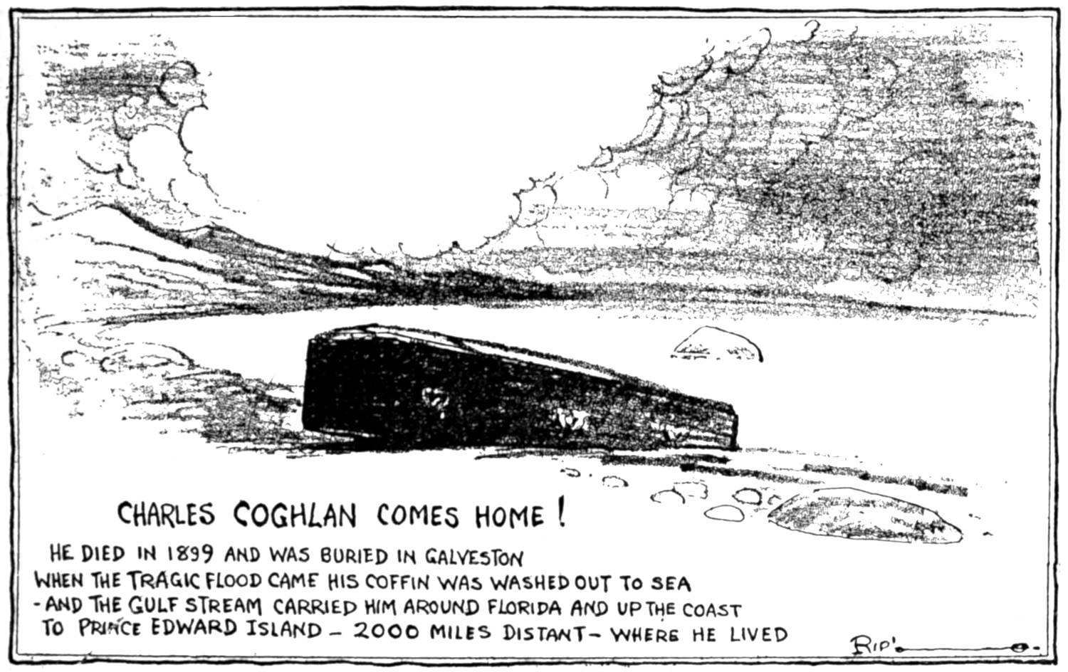 Coffign washed ashore