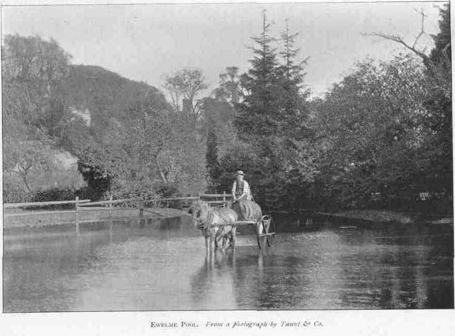 EWELME POOL. From a photograph by Taunt & Co.