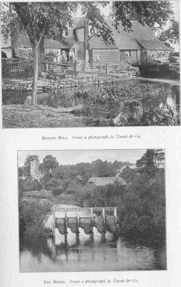 BOTLEY MILL. From a photograph by Taunt & Co. EEL BUCKS. From a photograph by Taunt & Co.