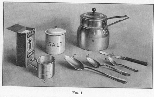 [Illustration: Fig. 1]