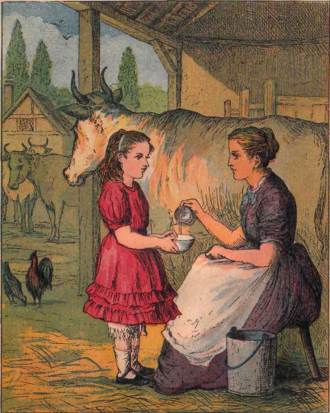 Milking-time.
