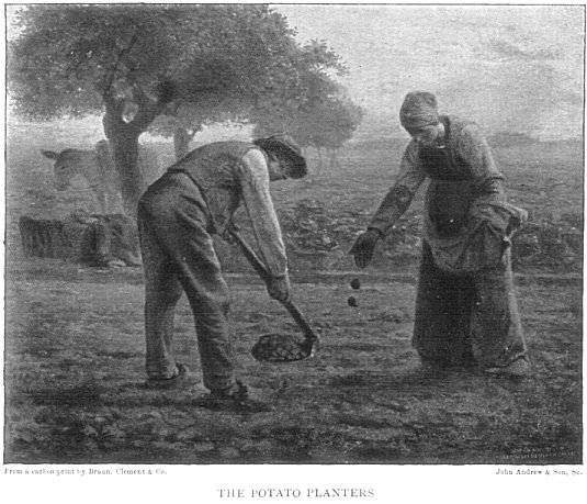 From a carbon print by Braun, Cl&eacute;ment & Co John Andrew & Son, Sc. THE POTATO PLANTERS