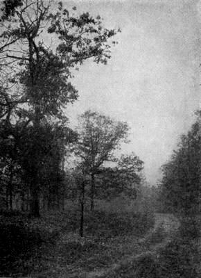 (THE LOST PATH&mdash;TITLE)