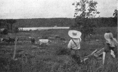 (WHEN LIDE MARRIED Him&mdash;TAILPIECE)