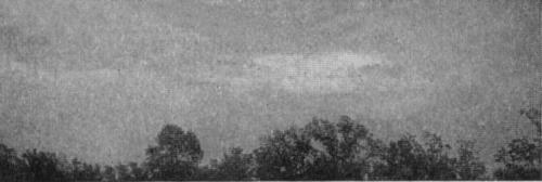 (LAST NIGHT AND THIS&mdash;TAILPIECE)