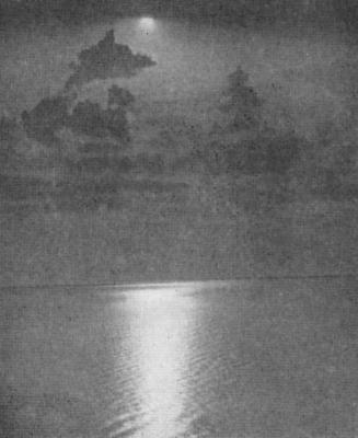 (WHERE SHALL WE LAND?&mdash;TAILPIECE)