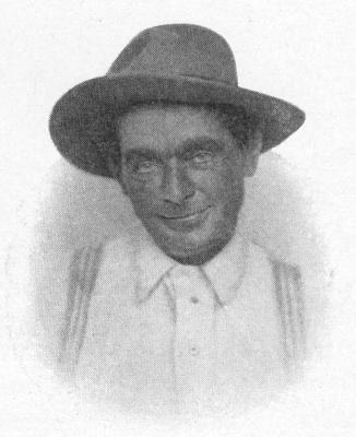 (FARMER WHIPPLE&mdash;BACHELOR&mdash;TAILPIECE)