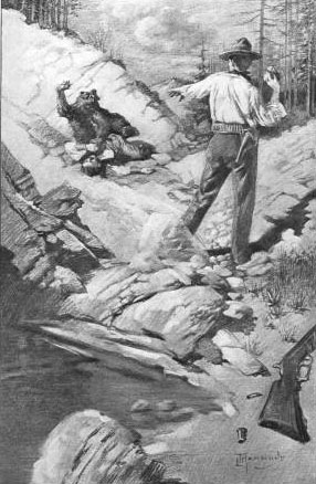 Dave seized a fair-sized stone and hurled it at the bear.&mdash;Page 293.