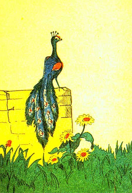 Illustration