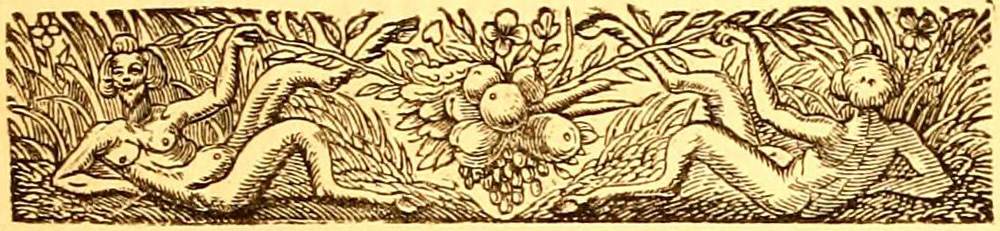 [Illustration]