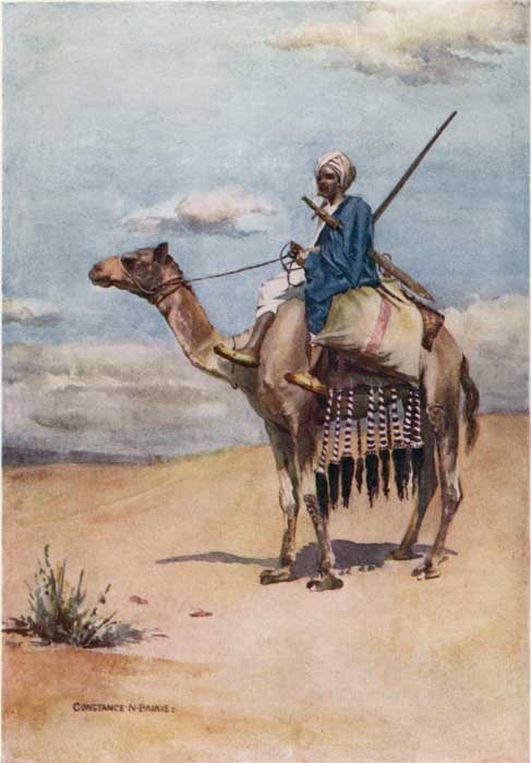 PLATE 12.

A DESERT POSTMAN.