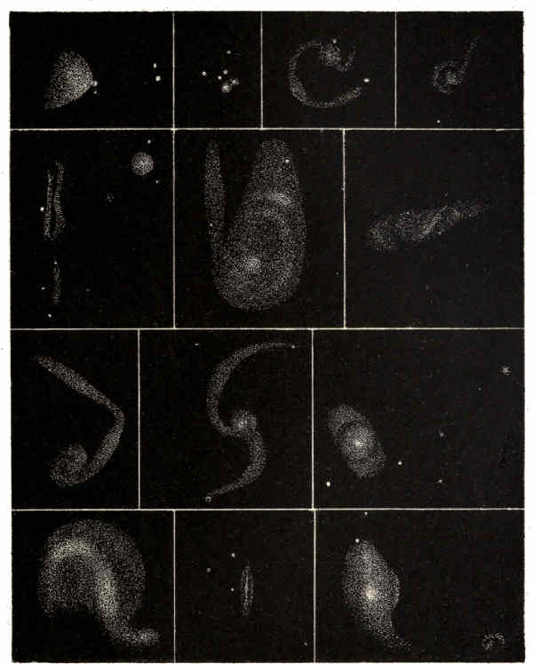 PLATE XVI.

NEBUL&AElig;