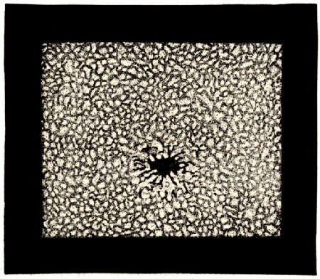 Fig. 16.&mdash;The Texture of the Sun and a small Spot.
