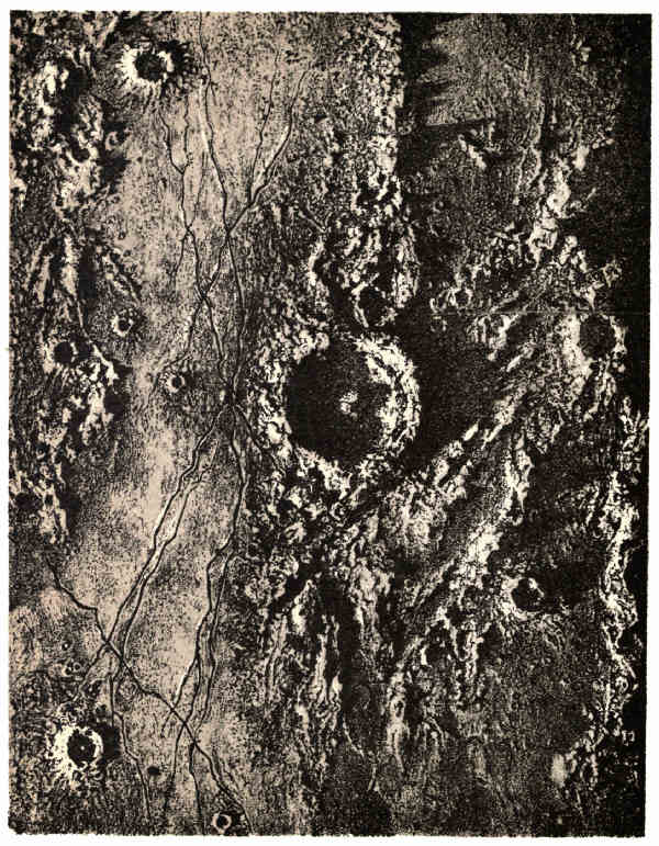 PLATE VII.
TRIESNECKER.