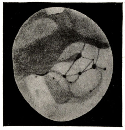 Fig. 51.&mdash;Drawing of Mars (July 30th, 1894).